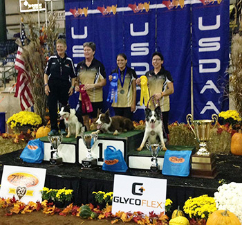 2015 Keen 3rd Place Performance Grand Prix Finals